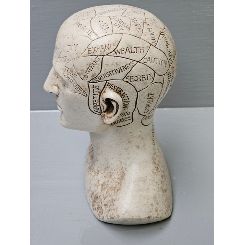 596 - Small Phrenology Head H15cm