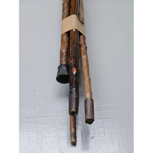 673 - Bundle 5 Walking Sticks & Canes