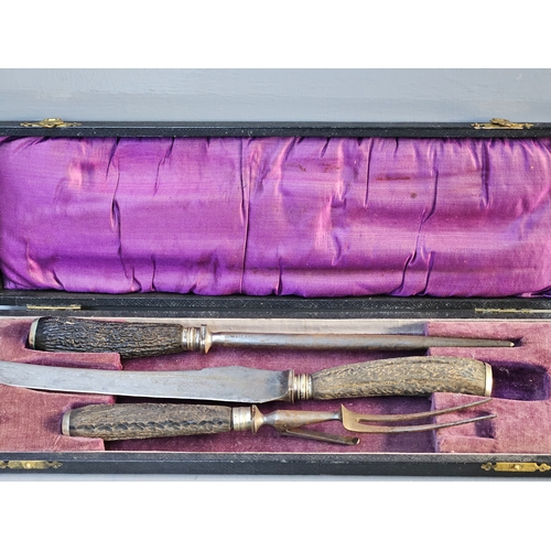 701 - 3 Pc Horn Handled Carving Set In Case