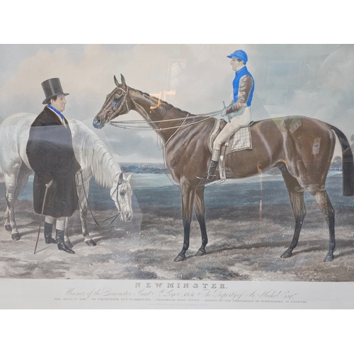 804 - Large Original Engraving Of 'Newminster' Winner Of The Doncaster Great St Leger 1851 In Gilt Frame H... 