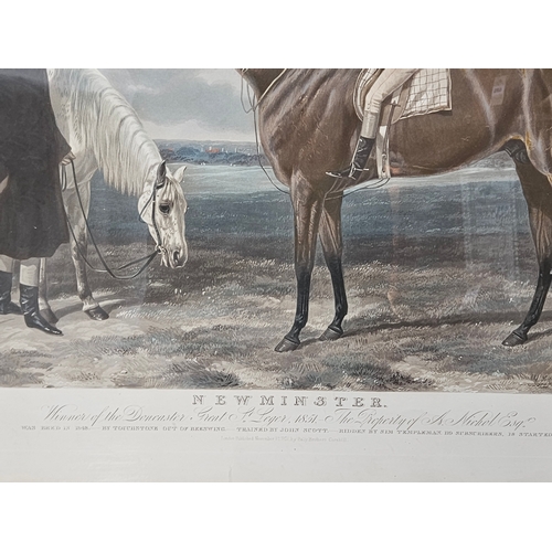 804 - Large Original Engraving Of 'Newminster' Winner Of The Doncaster Great St Leger 1851 In Gilt Frame H... 