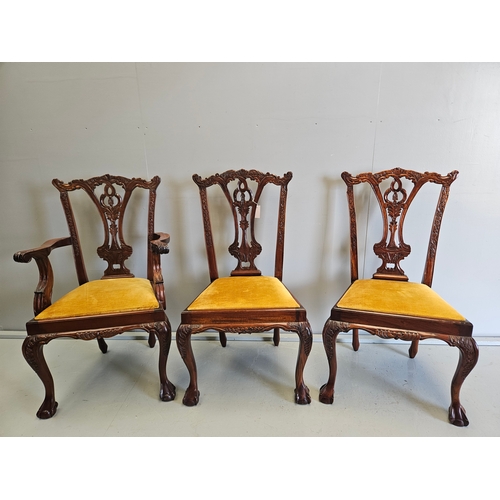 950 - 6 Carved Mahogany Ball & Claw Feet Dining Chairs