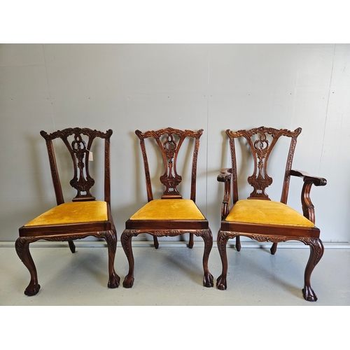 950 - 6 Carved Mahogany Ball & Claw Feet Dining Chairs