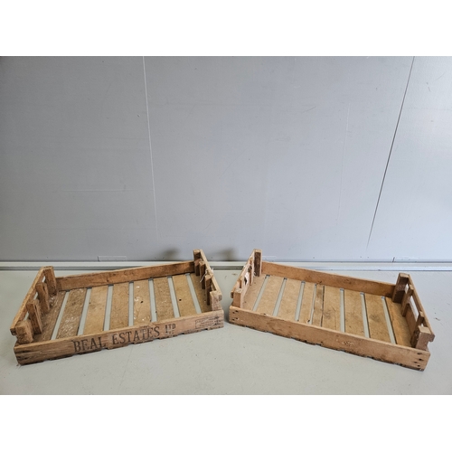 1159 - 2 Wooden Vegetable Trays