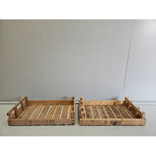 1162 - 2 Wooden Vegetable Trays