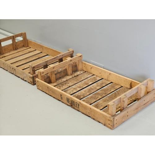 1162 - 2 Wooden Vegetable Trays