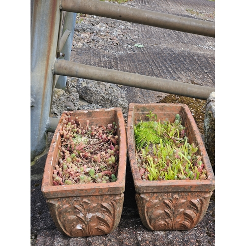 1234 - A Pair Of Terracotta Planters H17cm W51cm