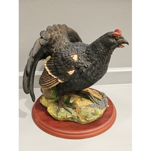 135 - Border Fine Arts 'Blackcock' A1278 By Russell Willis On Wood Base (A/F)