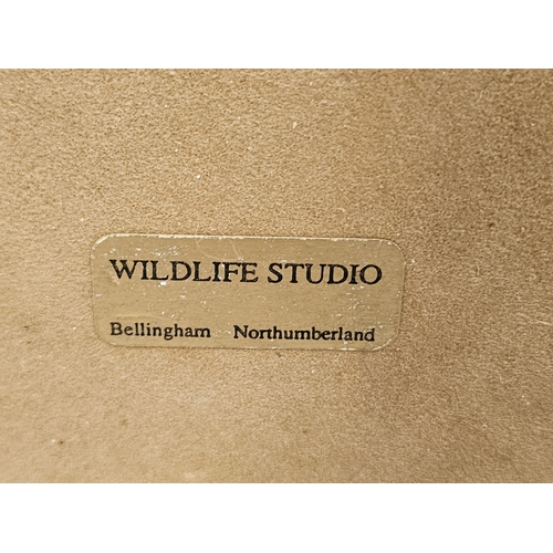 228 - 2 Wildlife Studio, Bellingham Pig Figures