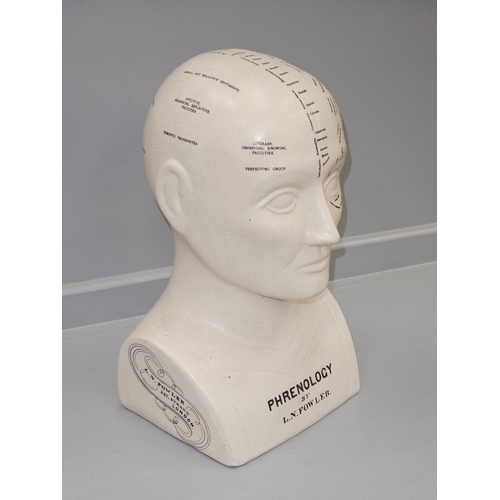 320 - L N Fowler Phrenology Head H32cm