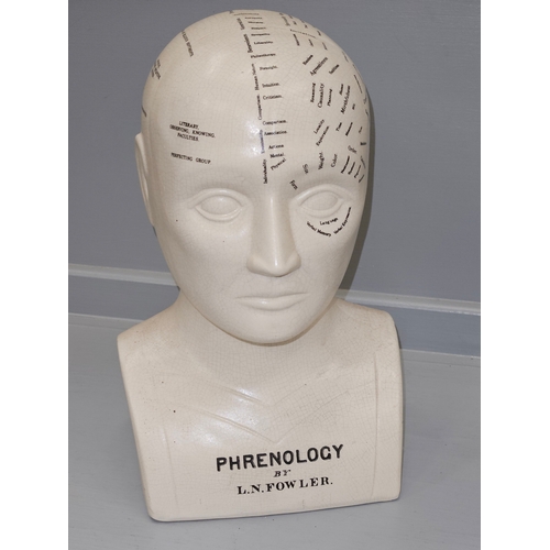 320 - L N Fowler Phrenology Head H32cm