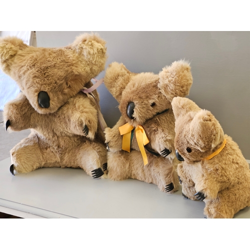 395 - A Family Of 3 Australian Koala Bears