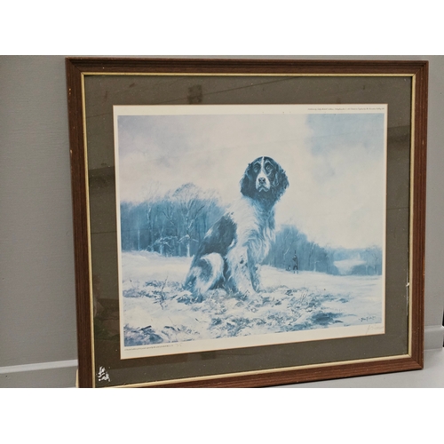 573 - A Framed Signed Print Of A Spaniel By John Trickett Limited Edition 715/850