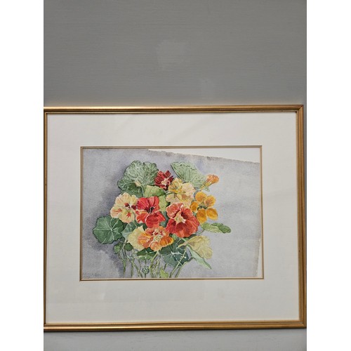 577 - 2 Framed Floral Watercolours 51cm x 67cm & 45cm x 54cm