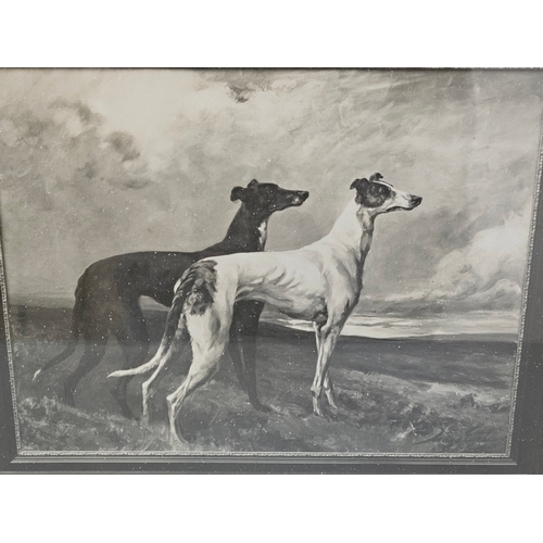 593 - Framed 'Greyhounds' Black & White Print Painted By Miss Maud Earl