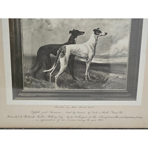 593 - Framed 'Greyhounds' Black & White Print Painted By Miss Maud Earl