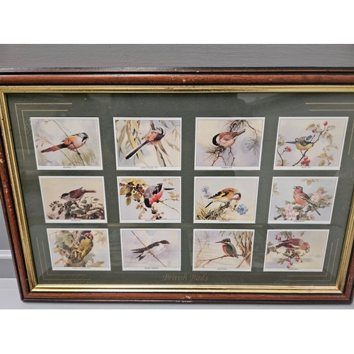 594 - 2 Framed Pictures Of Imperial Collection Birds Of Britain Cards