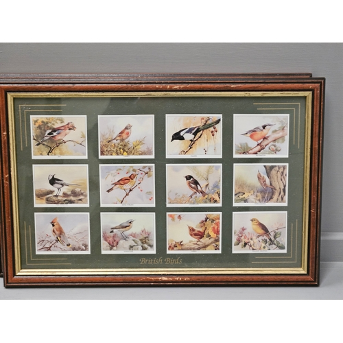 594 - 2 Framed Pictures Of Imperial Collection Birds Of Britain Cards