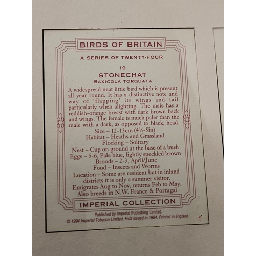 594 - 2 Framed Pictures Of Imperial Collection Birds Of Britain Cards