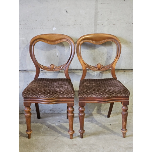 775 - A Pair Of Mahogany Balloon Back Chairs