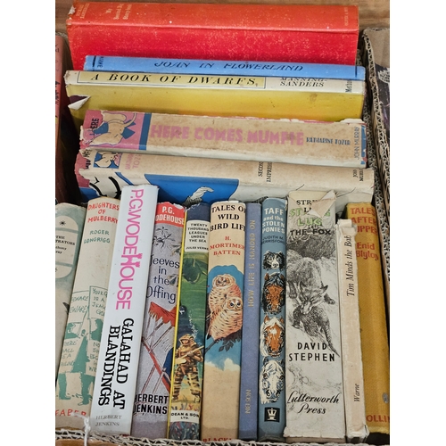 46 - Box Of Books - Children's Story Books Etc