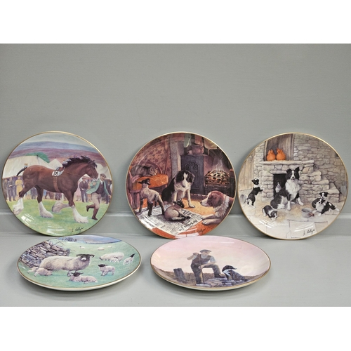 130 - 11 Assorted Border Fine Arts & Other Collector's Plates, Hand Painted Jug, Meakin Teapot Etc