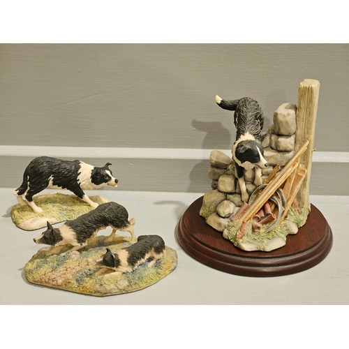 151 - 3 Border Fine Arts Collie Figurines