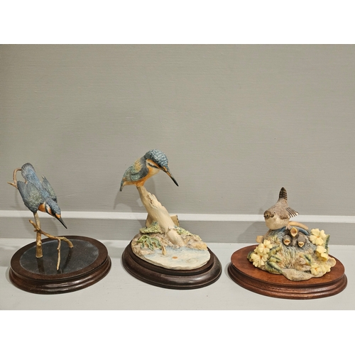 156 - Border Fine Arts 'Wren & Chicks' 035 By Anne Wall, Kingfisher 043 By R Ayres & 1 Other