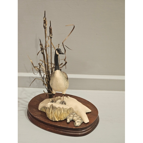 158 - Border Fine Arts 'Canada Goose' By  F Divita Limited Edition 398/850A On Wood Base