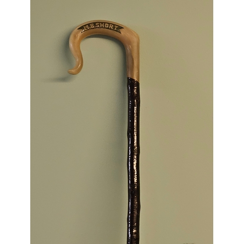 1 - Horn Handled Walking Stick (M B Short)