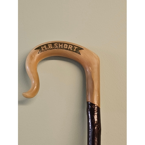 1 - Horn Handled Walking Stick (M B Short)