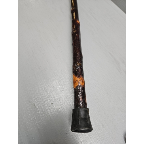 1 - Horn Handled Walking Stick (M B Short)