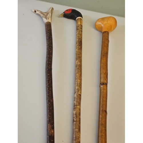 2 - 3 Assorted Walking Sticks