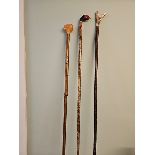 2 - 3 Assorted Walking Sticks