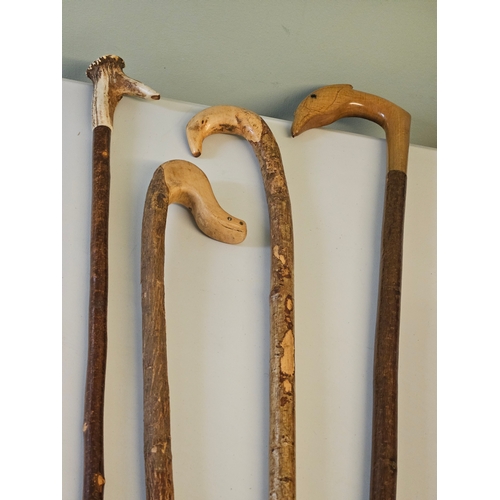 3 - 4 Assorted Walking Sticks