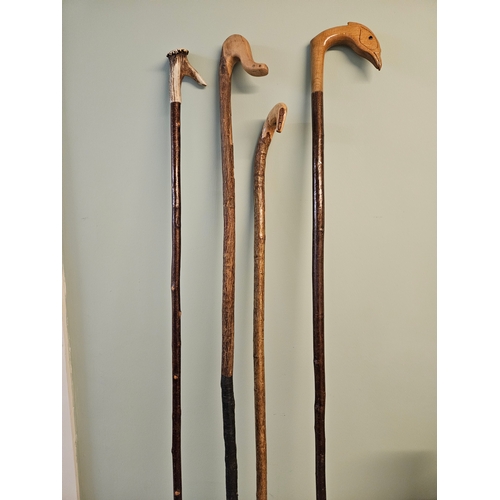 3 - 4 Assorted Walking Sticks