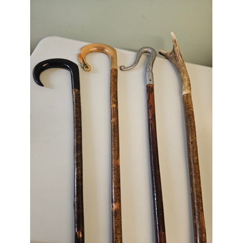 5 - 4 Assorted Walking Sticks Etc