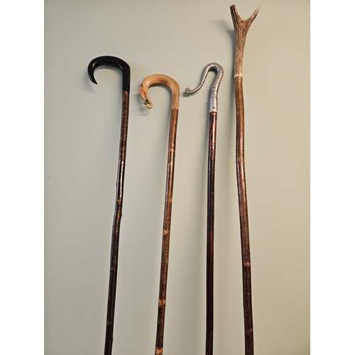 5 - 4 Assorted Walking Sticks Etc