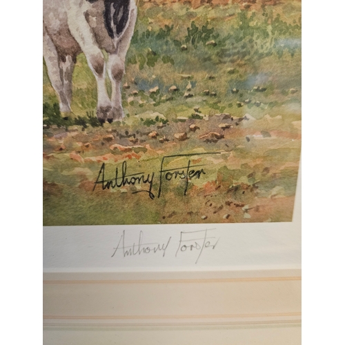 9 - 3 Framed Limited Edition Cattle, Dogs & Horse Prints