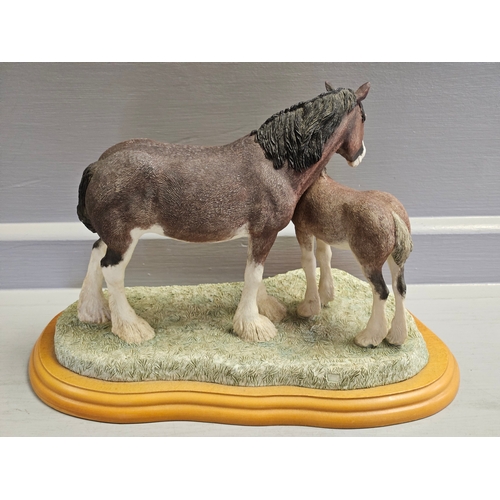 113 - Border Fine Arts 'Clydesdale Mare & Foal' A0187 By Anne Wall On Wood Base