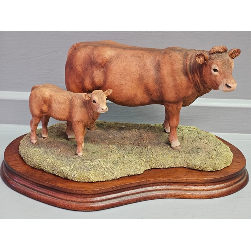 268 - Border Fine Arts 'Limousin Cow & Calf' Style One L157 By Anne Wall Limited Edition 100/1500 With Cer... 