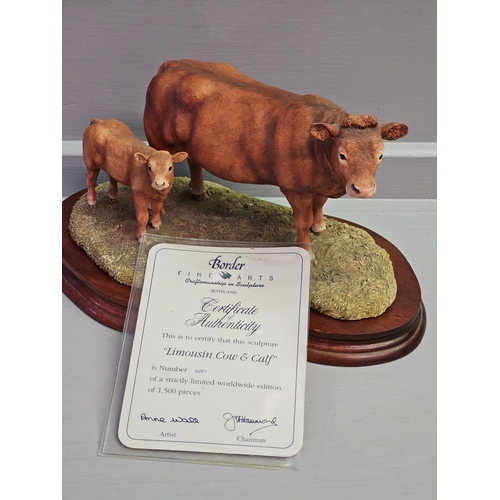 268 - Border Fine Arts 'Limousin Cow & Calf' Style One L157 By Anne Wall Limited Edition 100/1500 With Cer... 