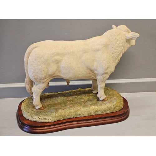 269 - Border Fine Arts 'Charolais Bull' B0587 By Jack Crewdson Limited Edition 176/950 With Box On Wood Ba... 