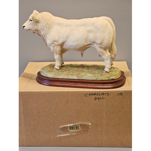 269 - Border Fine Arts 'Charolais Bull' B0587 By Jack Crewdson Limited Edition 176/950 With Box On Wood Ba... 