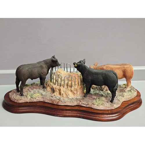 273 - Border Fine Arts 'Winter Rations' (Limousin) B0581 By Kirsty Armstrong On Wood Base