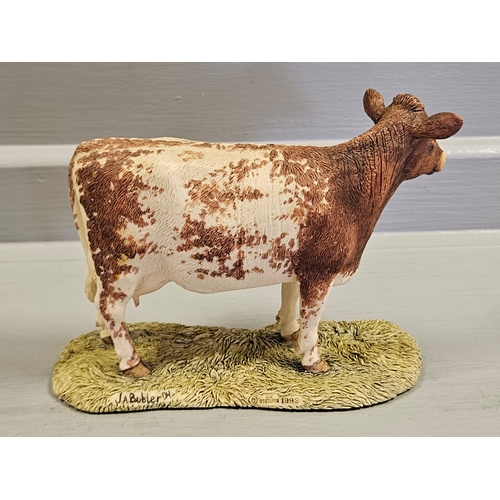 283 - Border Fine Arts 'Shorthorn Cow' 161 By J A Butler & Clover's New Calf 'A6519 By Kerry Bell On Wood ... 