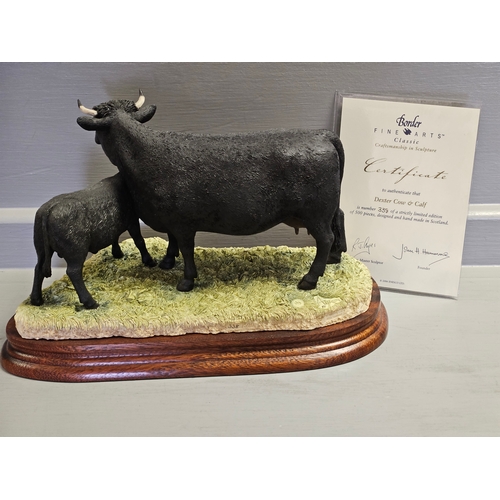 285 - Border Fine Arts 'Dexter Cow & Calf' B0974 By R Ayres Limited Edition 338/500 With Certificate On Wo... 