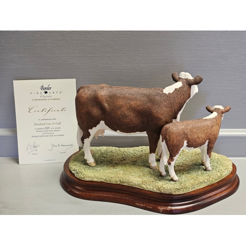 288 - Border Fine Arts 'Hereford Cow & Calf ' B0835 By R Ayres Limited Edition 235/950 With Certificate On... 