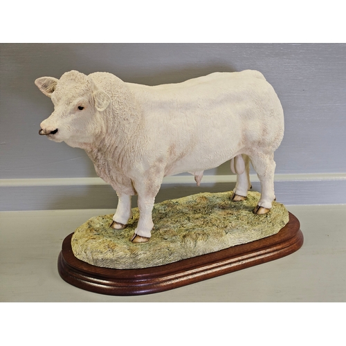 292 - Border Fine Arts 'Charolais Bull' B0587 By Jack Crewdson Limited Edition 76/950 With Certificate & B... 