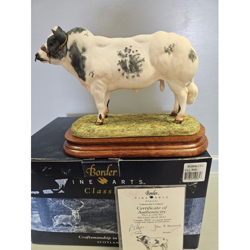 293 - Border Fine Arts 'Belgian Blue Bull' B0406 By R Ayres Limited Edition 825/1250 With Certificate & Bo... 